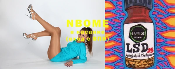 прущие грибы Алзамай