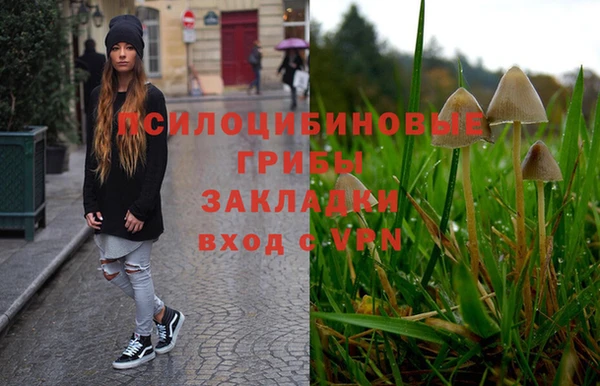 прущие грибы Алзамай
