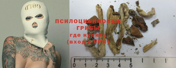 первитин Алексин