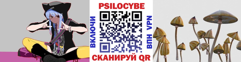 Галлюциногенные грибы Psilocybe  где купить наркотик  Краснокамск 